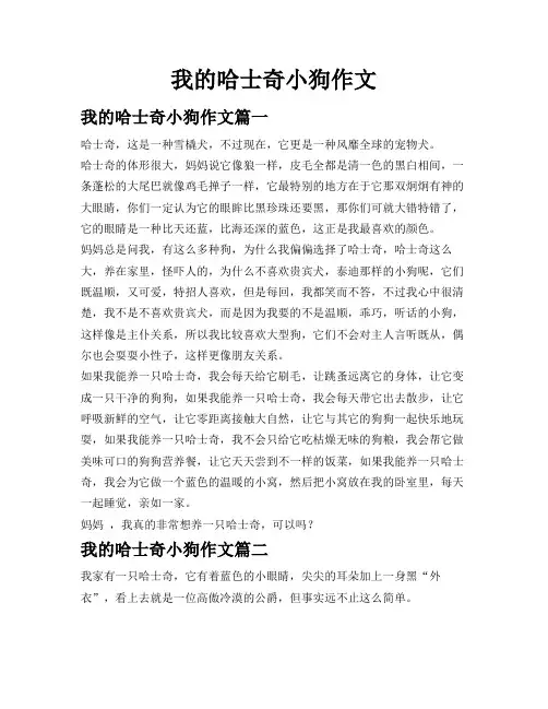 我的哈士奇小狗作文