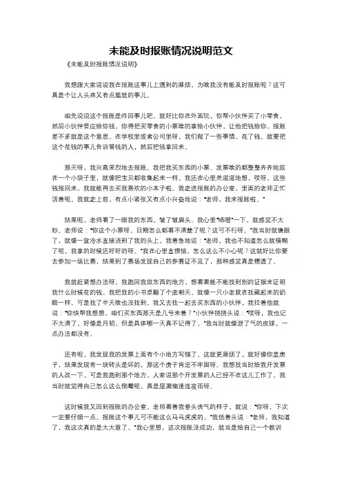 未能及时报账情况说明范文