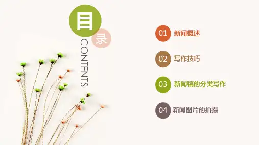如何写好新闻稿通用课件