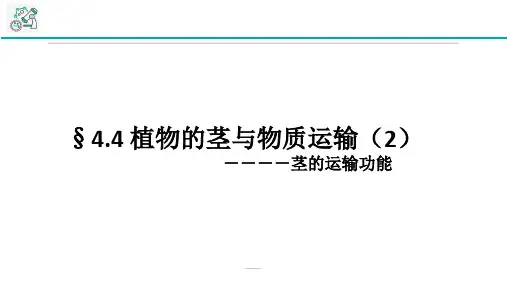 4.4植物的茎与物质运输第2课时浙教版科学八年级下册课件