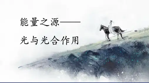 5.4 能量之源光和光合作用 课件 人教版高中生物必修一