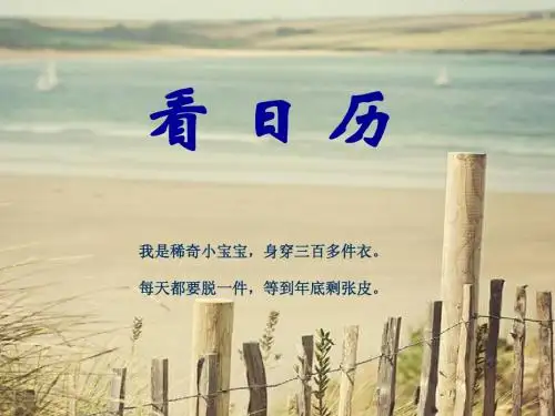 北师大版数学三年级上册《看日历》