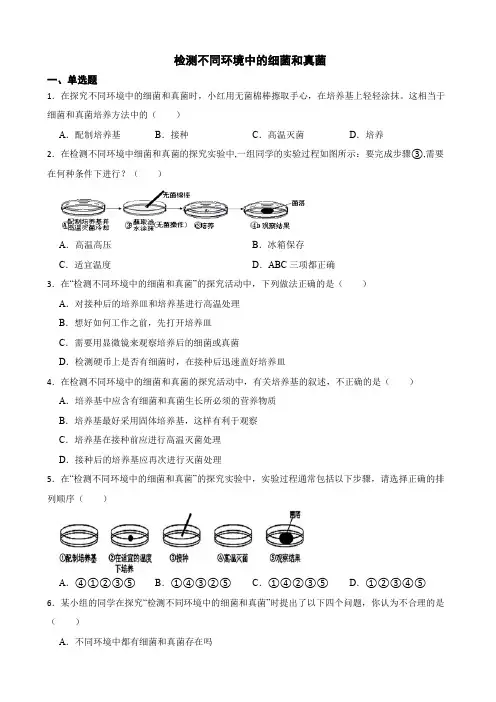 中考生物实验专项复习 检测不同环境中的细菌和真菌解析版