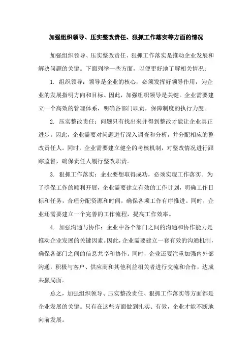 加强组织领导、压实整改责任、狠抓工作落实等方面的情况
