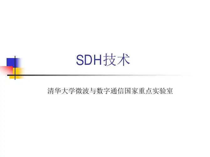 SDH技术