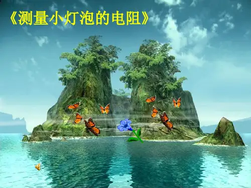 测量小灯泡的电阻