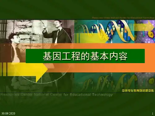 基因工程的基本内容PPT演示课件