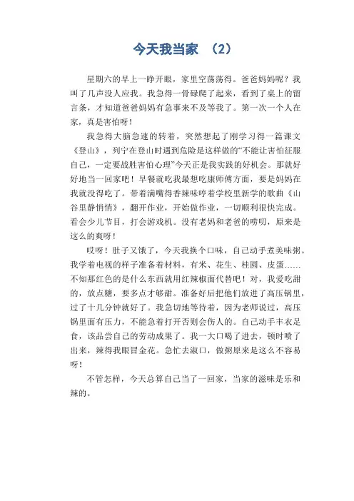 小学生作文范文 今天我当家 (2)