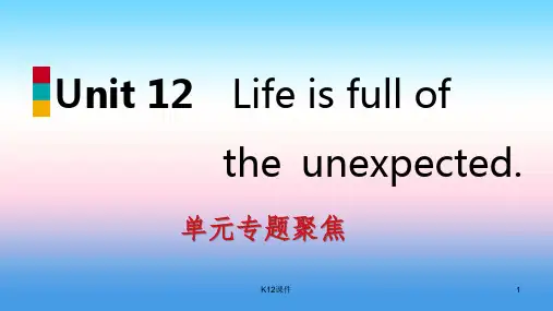 九年级英语全册 Unit 12 Life is full of the unexpected专题聚焦课件 (新版)人教新目标版