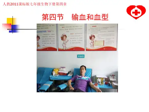 人教版七年级生物下册第四单元第四章《第四节 输血与血型》 课件(共22张PPT)