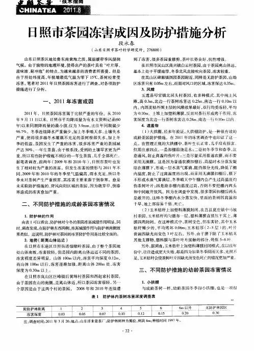 日照市茶园冻害成因及防护措施分析