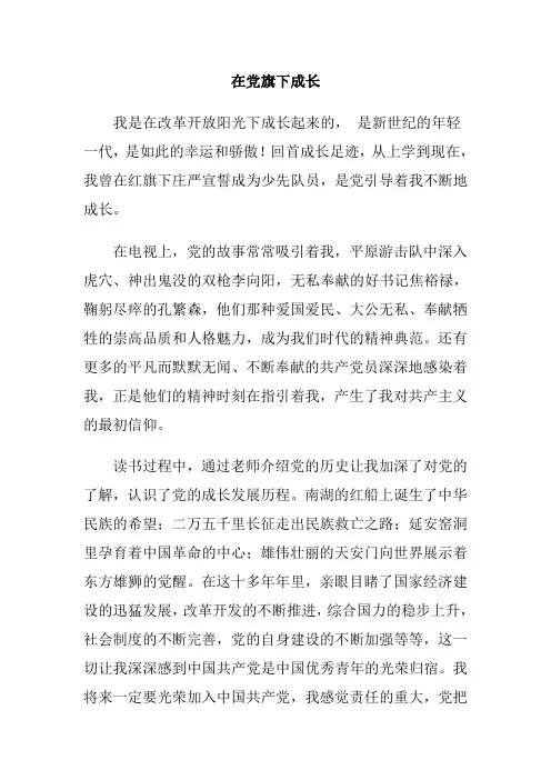 在党旗下成长征文2