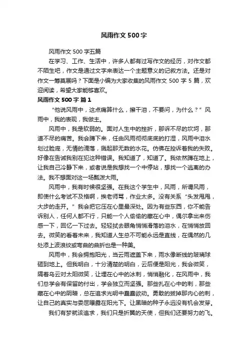 风雨作文500字