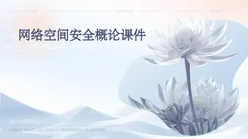 网络空间安全概论()课件