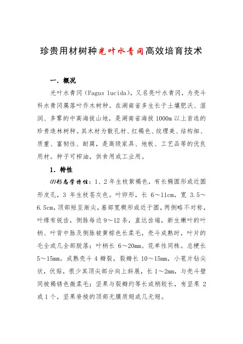 珍贵用材树种光叶水青冈高效培育技术