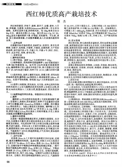 西红柿优质高产栽培技术