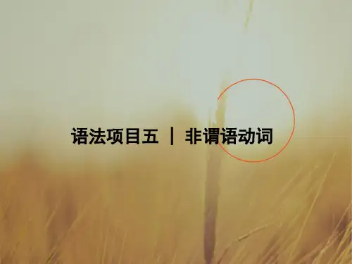 2018版高考英语江苏版二轮专题复习配套课件：专题一 单项填空 语法项目五 精品