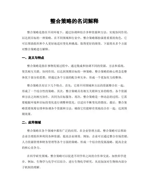 整合策略的名词解释