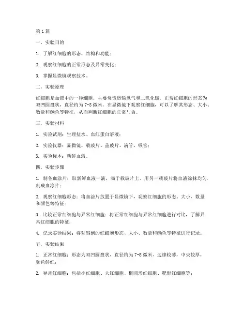 红细胞观察实验报告(3篇)