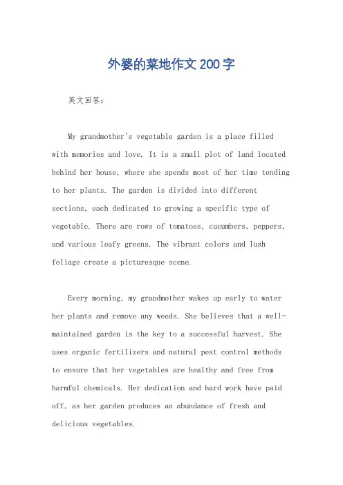外婆的菜地作文200字