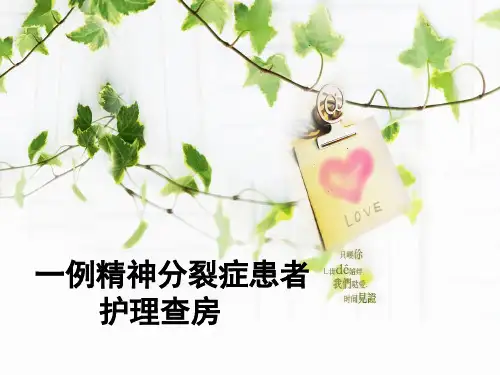 一例精神分裂症患者的护理查房