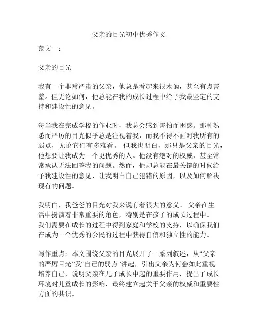 父亲的目光初中优秀作文