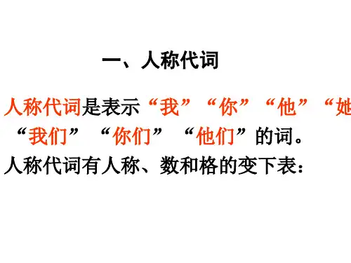 指示代词反身代词