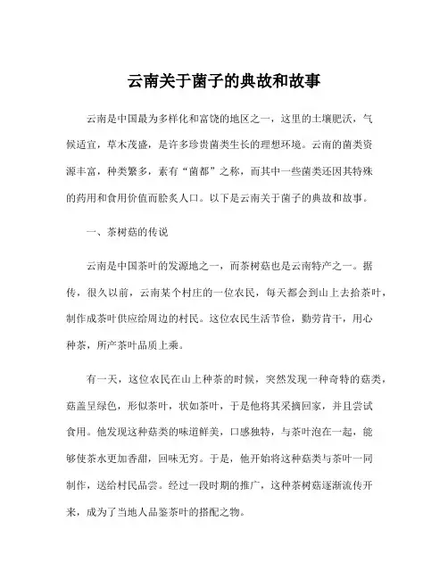 云南关于菌子的典故和故事