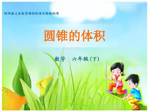 数学六年级下西师大版2-2-3圆锥的体积课件(30张)