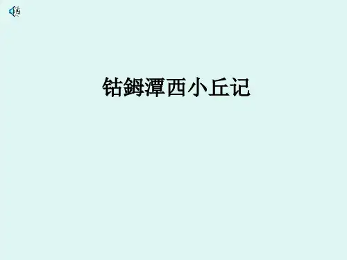 钴鉧潭西小丘记ppt4