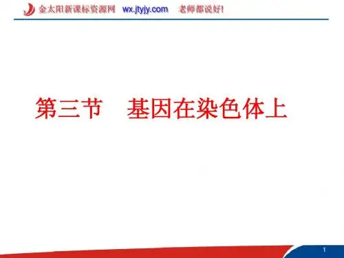 2.2基因在染色体上 课件(人教版必修2)