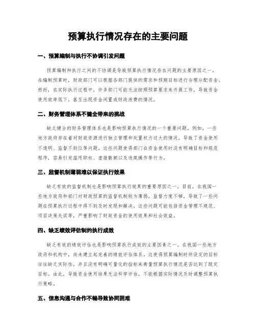 预算执行情况存在的主要问题