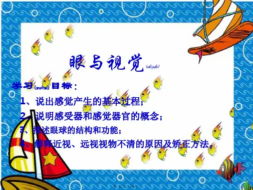 七年级生物《眼与视觉》课件