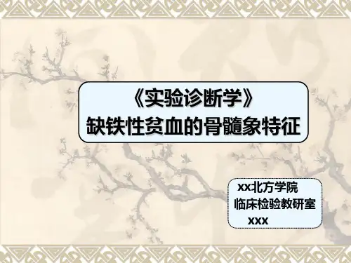 实验诊断学-缺铁性贫血的骨髓象特征