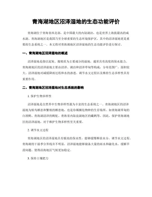 青海湖地区沼泽湿地的生态功能评价