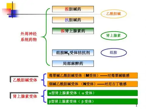 章外周神经药物