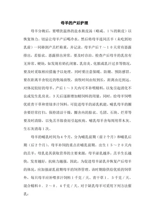 母羊的产后护理