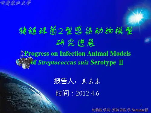 2019年研究生Seminar模板.ppt