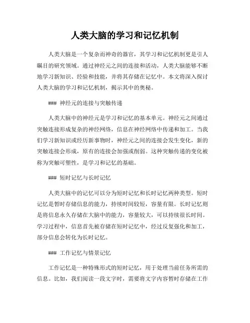 人类大脑的学习和记忆机制