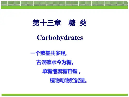 有机化学-第13章_糖类