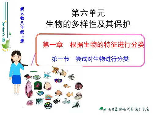 初中生物人教版(新课程标准)八年级上册第六单元 第一章  第一节 尝试对生物进行分类 课件(共42张PPT)