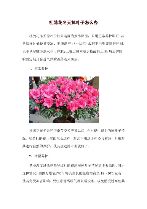 杜鹃花冬天掉叶子怎么办