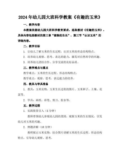 2024年幼儿园大班科学教案《有趣的玉米》