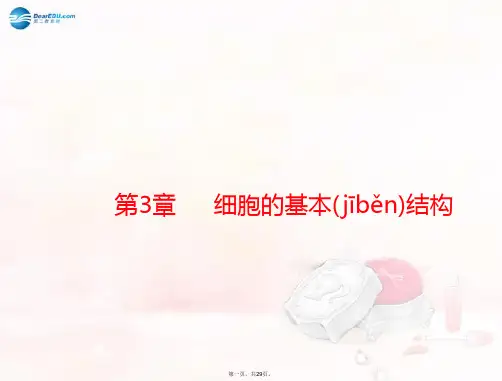 高考生物总复习 第3章 第1、3节 细胞膜 系统的边界、细胞核 系统的控制中心课件 新人教版必修1