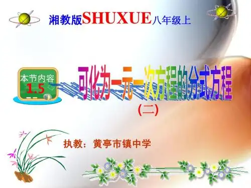 新湘教版八年级上1.5可化为一元一次方程的分式方程(第2课时)课件(共11张PPT)