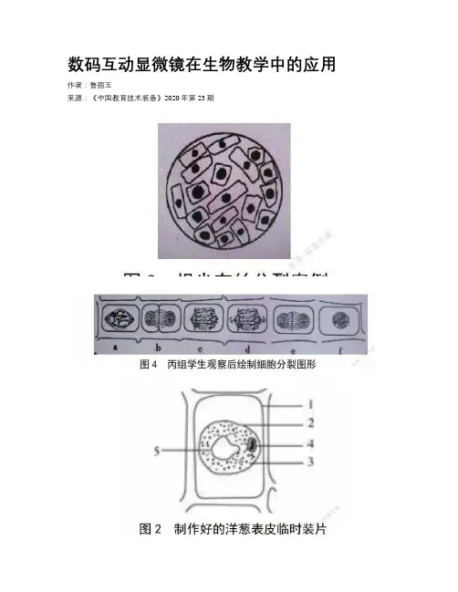 数码互动显微镜在生物教学中的应用     