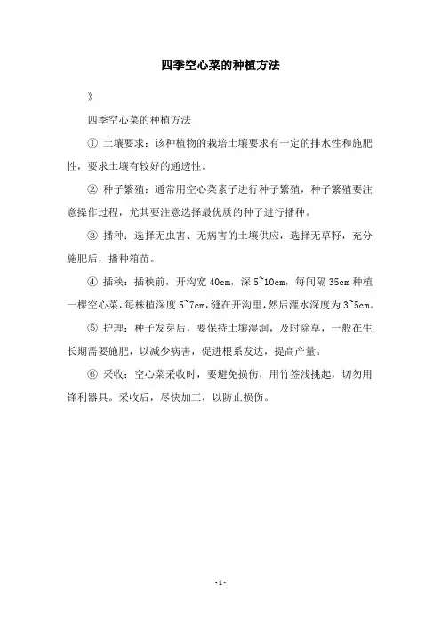 四季空心菜的种植方法