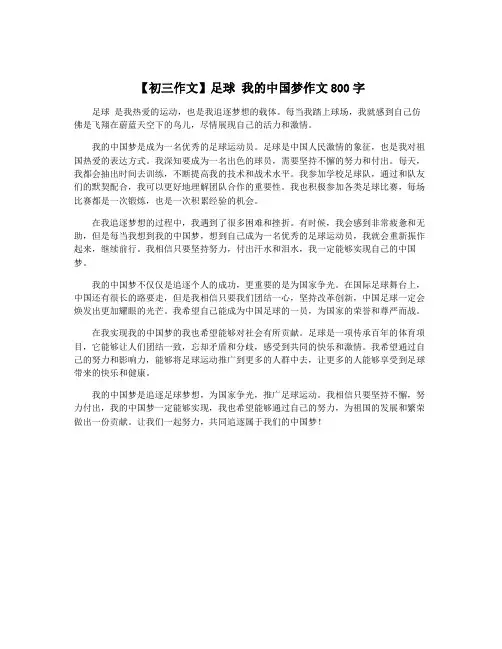 【初三作文】足球 我的中国梦作文800字