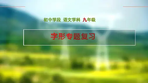 中考字形专题-课件(30张ppt)