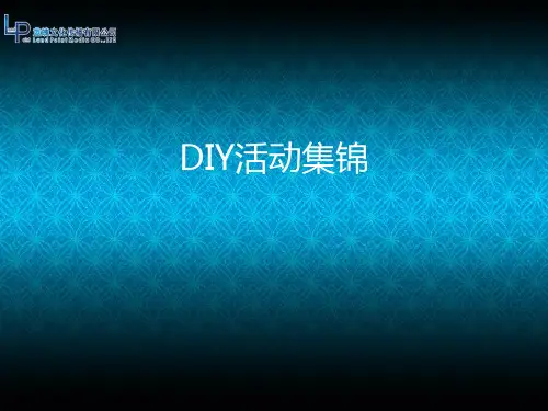 DIY集锦PPT课件